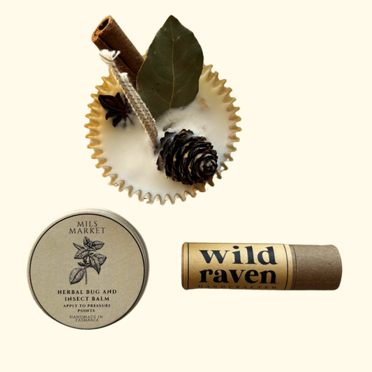 Summer Camping Bundle